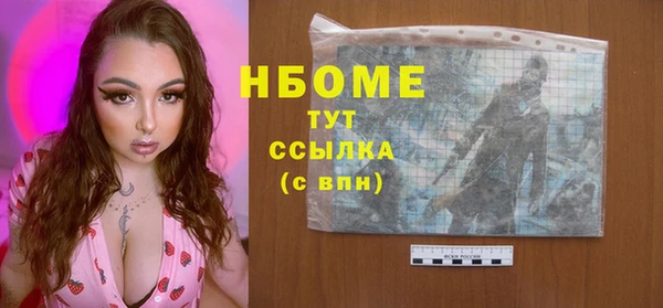 ГАЛЛЮЦИНОГЕННЫЕ ГРИБЫ Бородино
