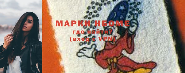ГАЛЛЮЦИНОГЕННЫЕ ГРИБЫ Бородино
