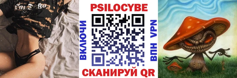 купить наркотики сайты  Бугуруслан  Псилоцибиновые грибы Psilocybe 